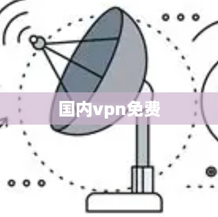 国内vpn免费 国内vpn免费