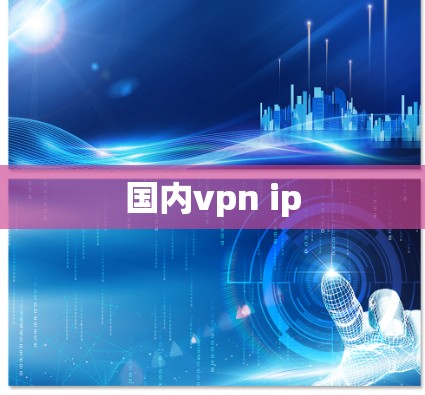 国内vpn ip 国内vpn ip