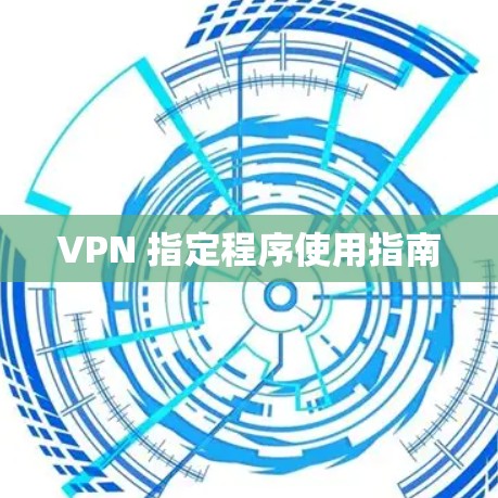 VPN 指定程序使用指南