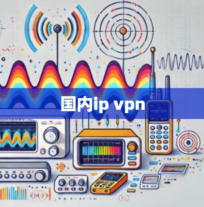 国内ip vpn